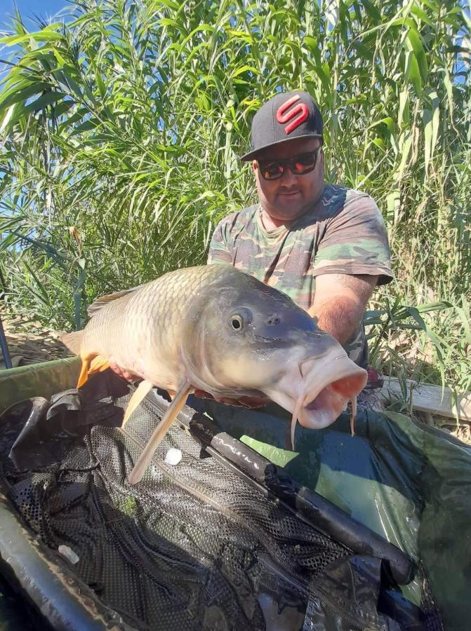 R U Ready Fishing, River Ebro Мекиненса Екстериор снимка