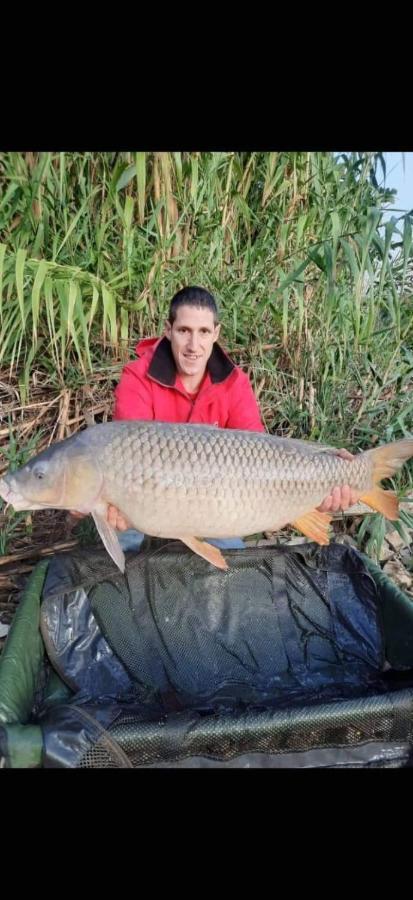 R U Ready Fishing, River Ebro Мекиненса Екстериор снимка