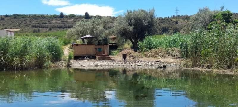R U Ready Fishing, River Ebro Мекиненса Екстериор снимка