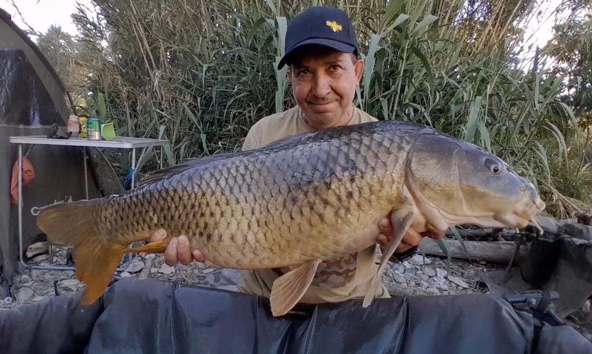 R U Ready Fishing, River Ebro Мекиненса Екстериор снимка