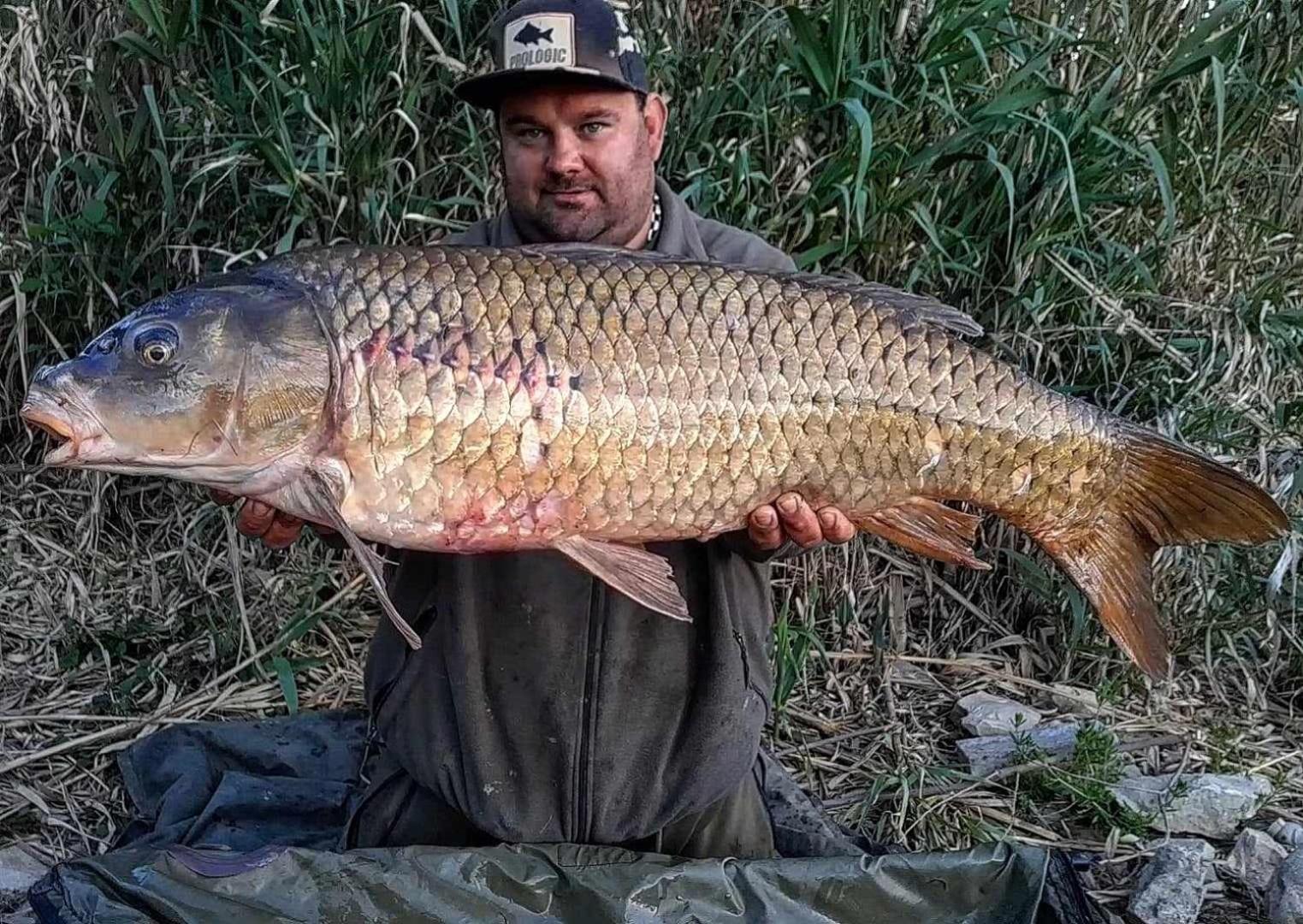 R U Ready Fishing, River Ebro Мекиненса Екстериор снимка